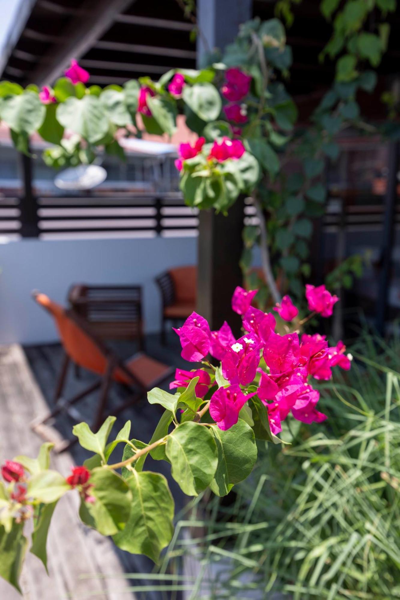 Hotel Ker Alberte Cayenne Ngoại thất bức ảnh